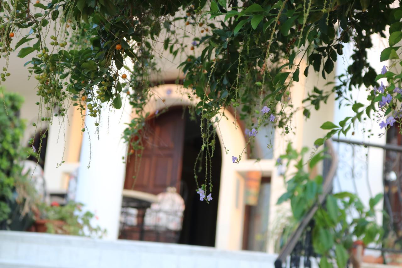 Meryem'S Hotel Agios Epiktitos Zewnętrze zdjęcie